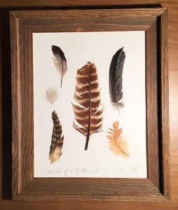feathers 08
